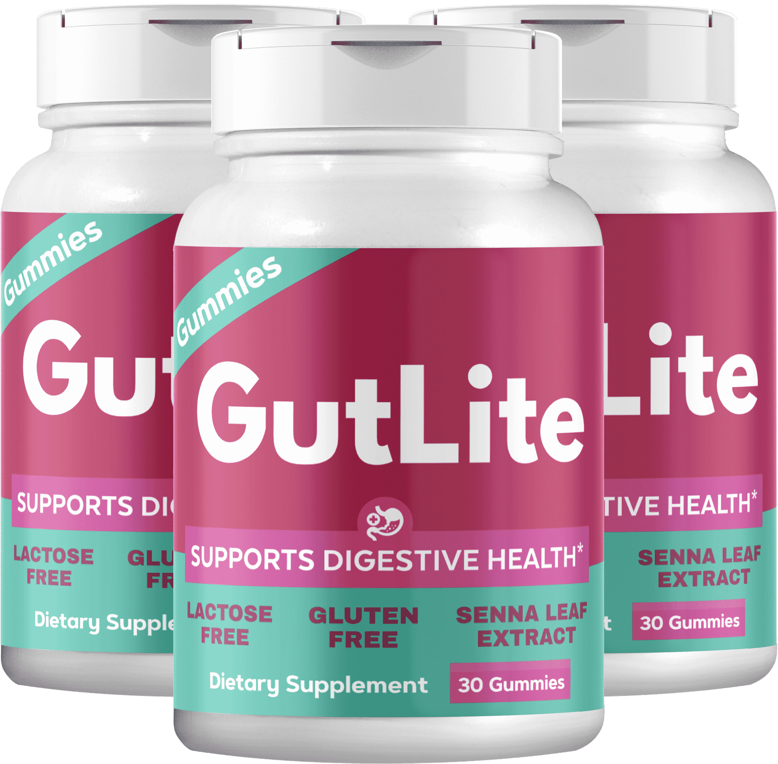  Introducing gutlite